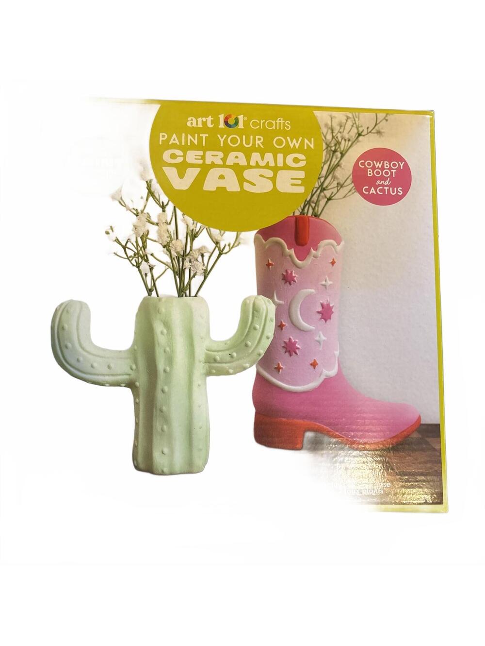 Cactus and Cowboy Boot Paint And Planter Kit New